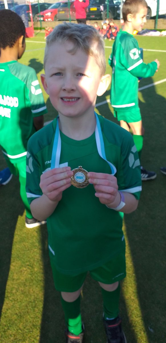 Bysing Wood Primary tweet media