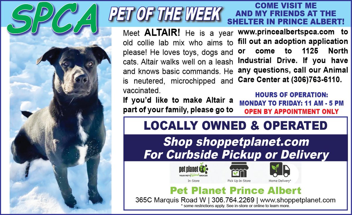 PAShopper's tweet image. SPCA - Pet of the Week
princealbertshopper.com/spca
#SPCA #PetoftheWeek #princealbertshopper
