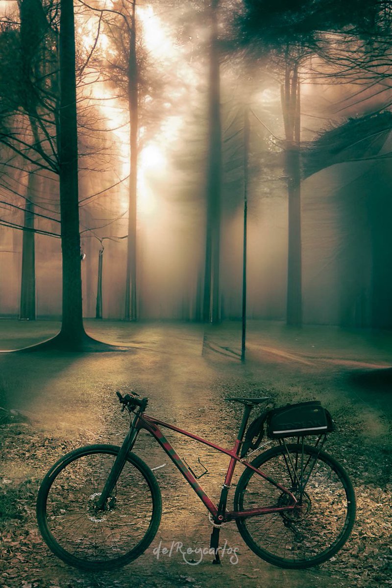 delreycarlos's tweet photo. #bikepakinglife #bikedream #urbanbike #bikeminimalist #bikelandscapes #gravel #gravelbike #gravelgrinder
#gravelride #darkbikes #darkbike #gravellife #gravelcycle
#gravelcycling #cycling #cyclingphotos
#cyclingshots #cyclinglife
#instascycling #outsideisfree
#fromwhereiride https://t.co/BrFXaxLcaM