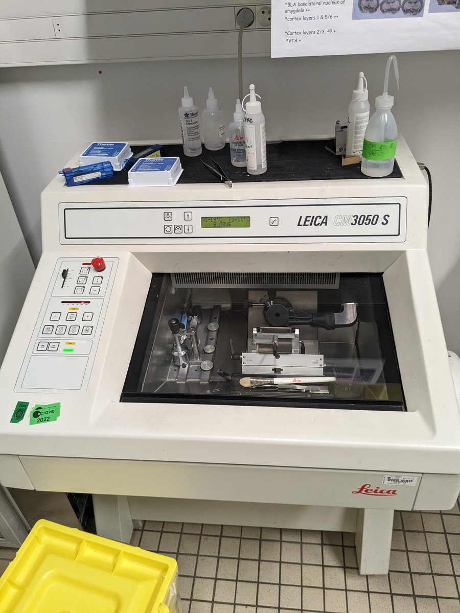 Dr. Anna Liley tweet media