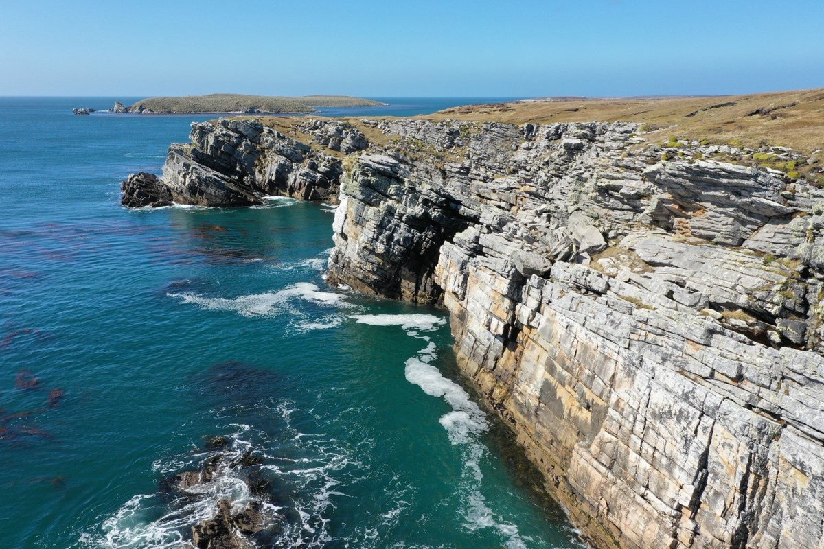 kelper60's tweet photo. Fingers crossed the weather behaves for the cruise ship tomorrow, am driving to the marvelous Murrell farm #kidneycove
#coastline #oceanliving #penguins #kings #rockhoppers #gentoos #magellanic #wildlife https://t.co/06x4GdimK9