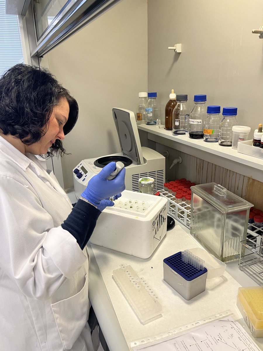 👩‍🎓👩‍🚀👩‍🎨#11F is the International Day of Women and Girls in Science!! 
Silvia Andrés🥰another technician that we have in our group
<a href="/UJIuniversitat/">Universitat Jaume I</a> <a href="/ESTCE_UJI/">ESTCE-UJI</a> 
#WomenInScience #WomenInSTEM #Science #WomenInScienceDay #11F2023
