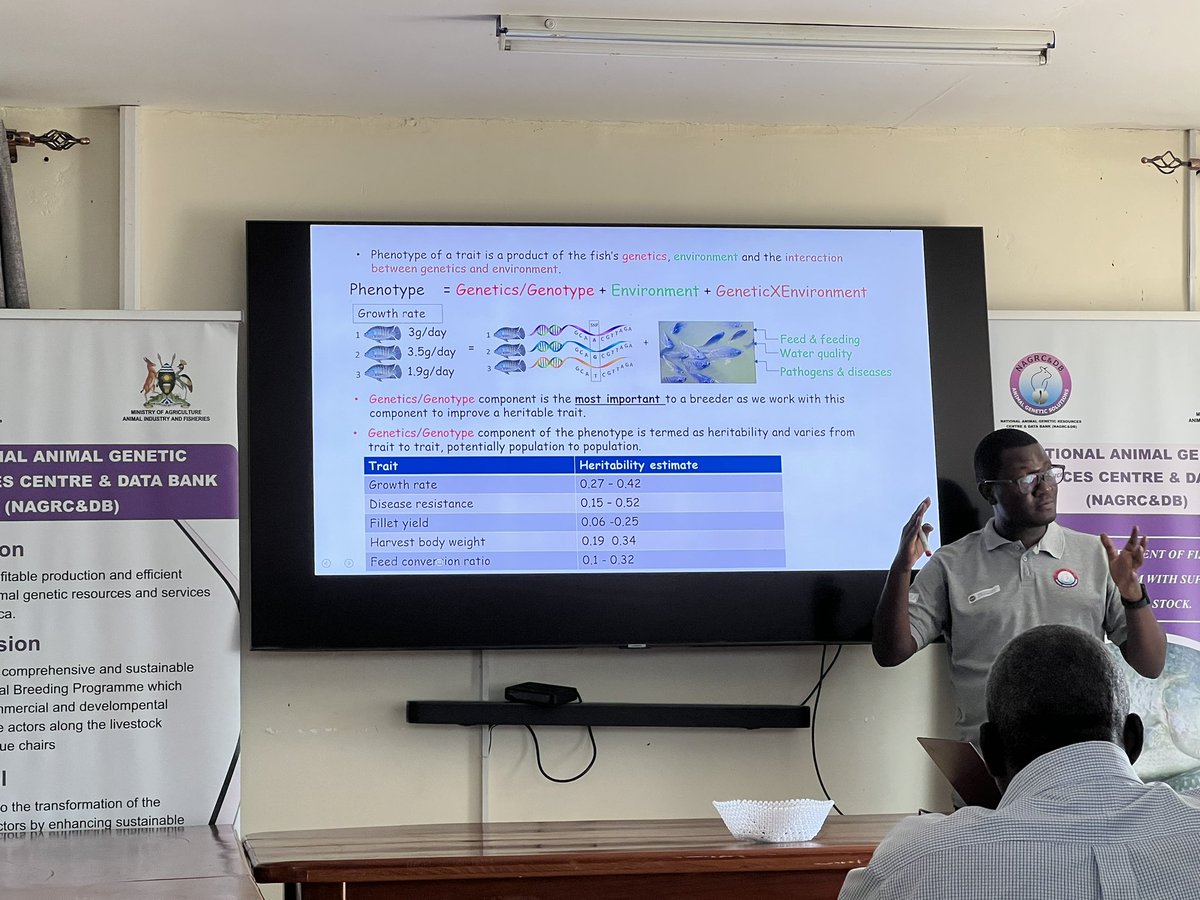 It has been an interactive and interesting workshop with farmers identifying traits that could be improved through breeding @NAGRC_DB @KTNUK @MAAIF_Uganda @KTN_Agrifood @roslininstitute @Diego___RS @FraslinClemence