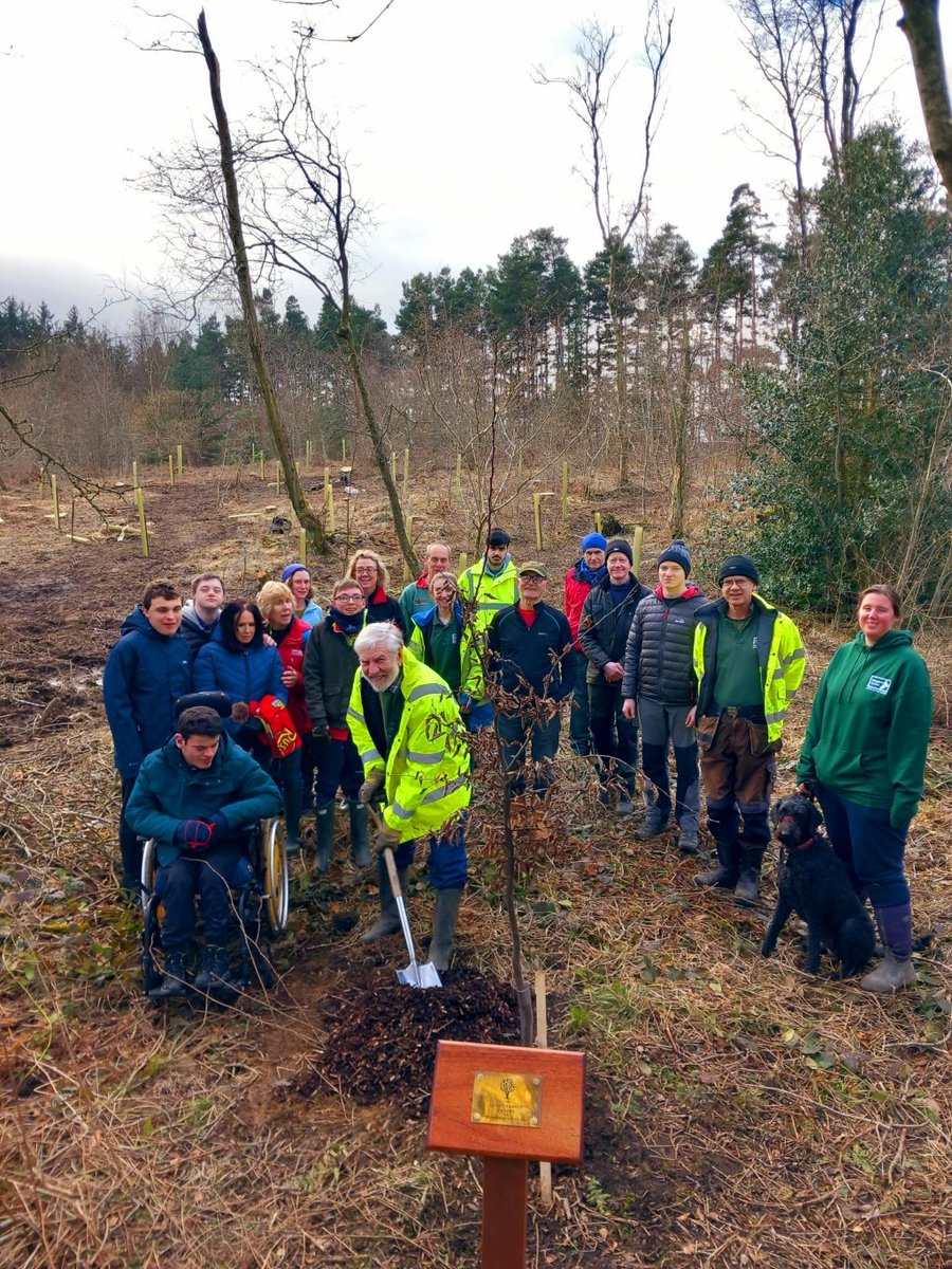 FoxgloveCovert's tweet photo. These trees now form part of the @QGCanopy, a tree planting initiative created to mark Her Majesty's Platinunm Jubilee in 2022. 
There was a fantastic turn out including lots of regular volunteers and students from the Personalised Learning College, Northdale Horticulture. https://t.co/bW3M6w5RGn