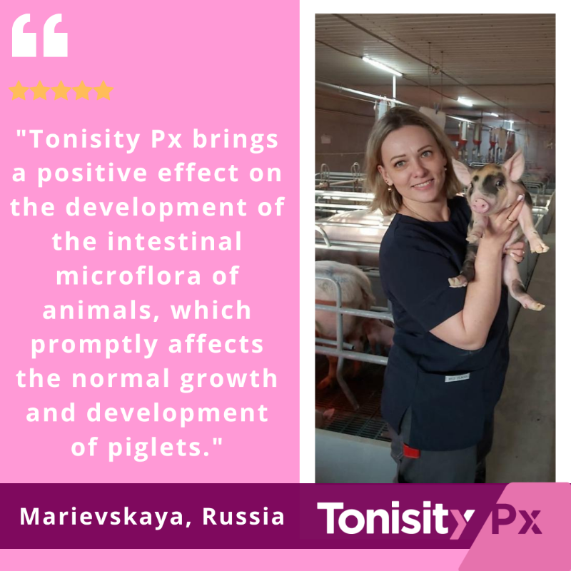 GetTonisity's tweet photo. Another great review from Marievskaya in Russia 🐖 https://t.co/b79VTSCUgA