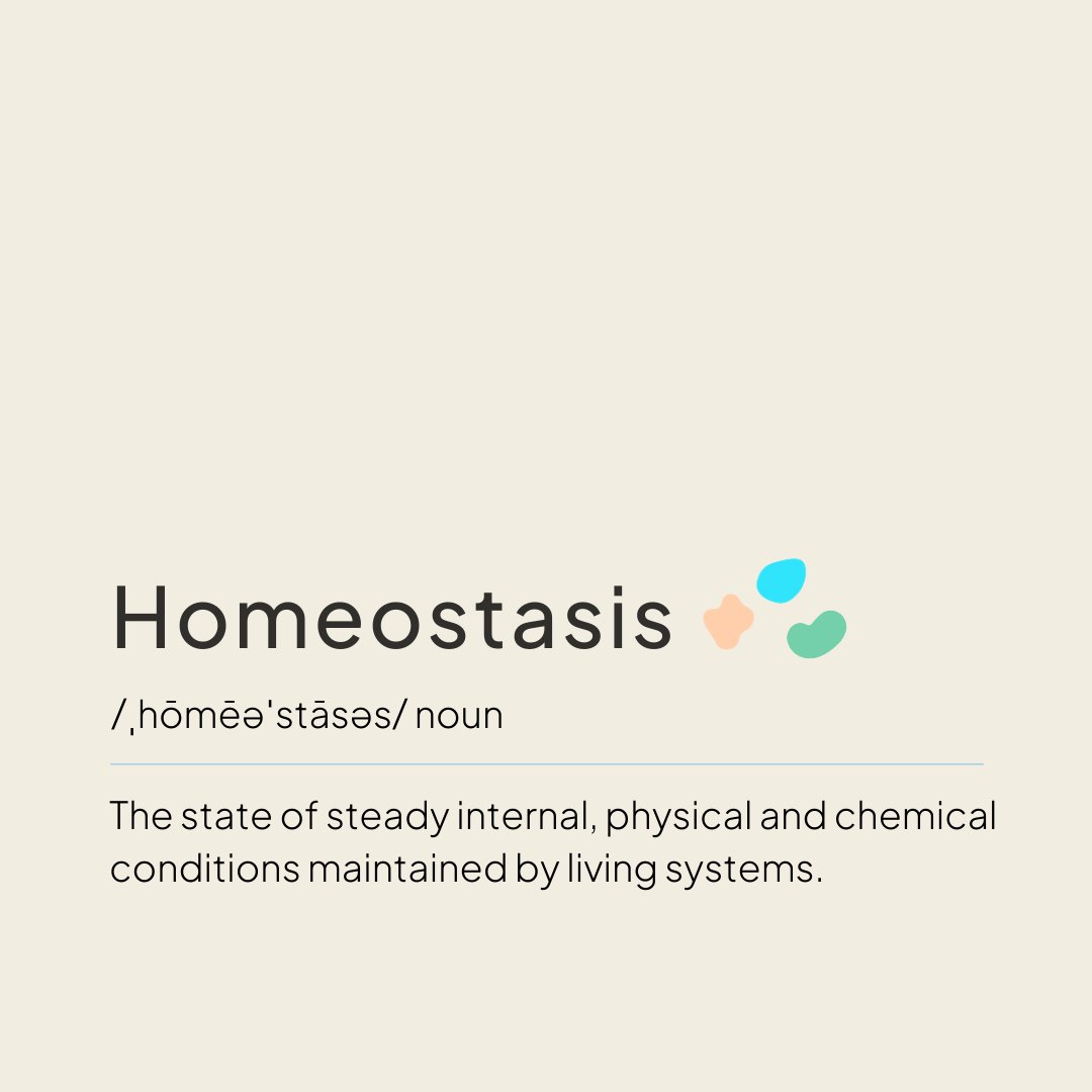 getklora's tweet image. Our mission: achieving homeostasis through the gut-mind-body connection! ⁠This is the condition of optimal functioning of your body.⁠🎉
⁠
In simple terms: ⁠
prebiotic + postbiotic = gut homeostasis🙌