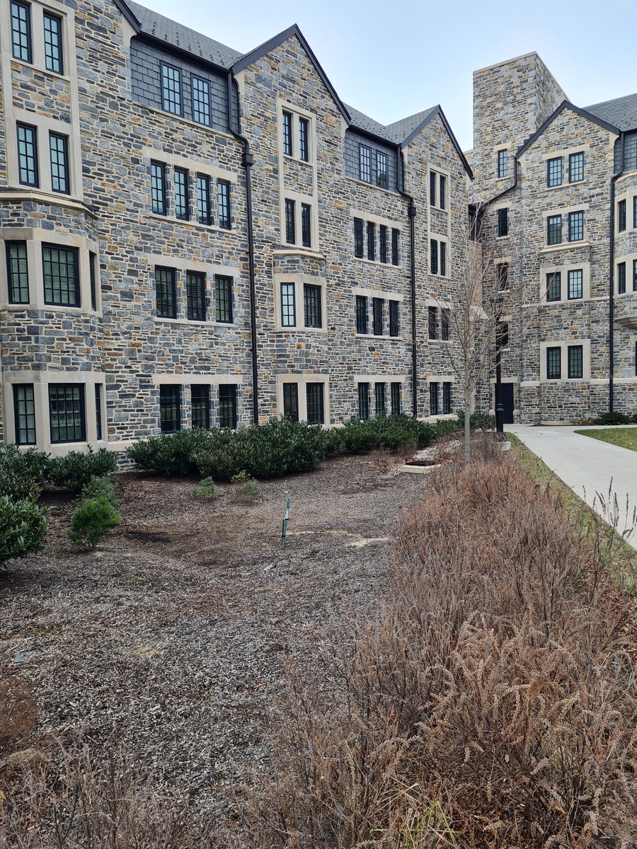 The raingardens on campus are vast and make up an interconnected network of Green Infrastructure offering proven water quantity and quality benefits
