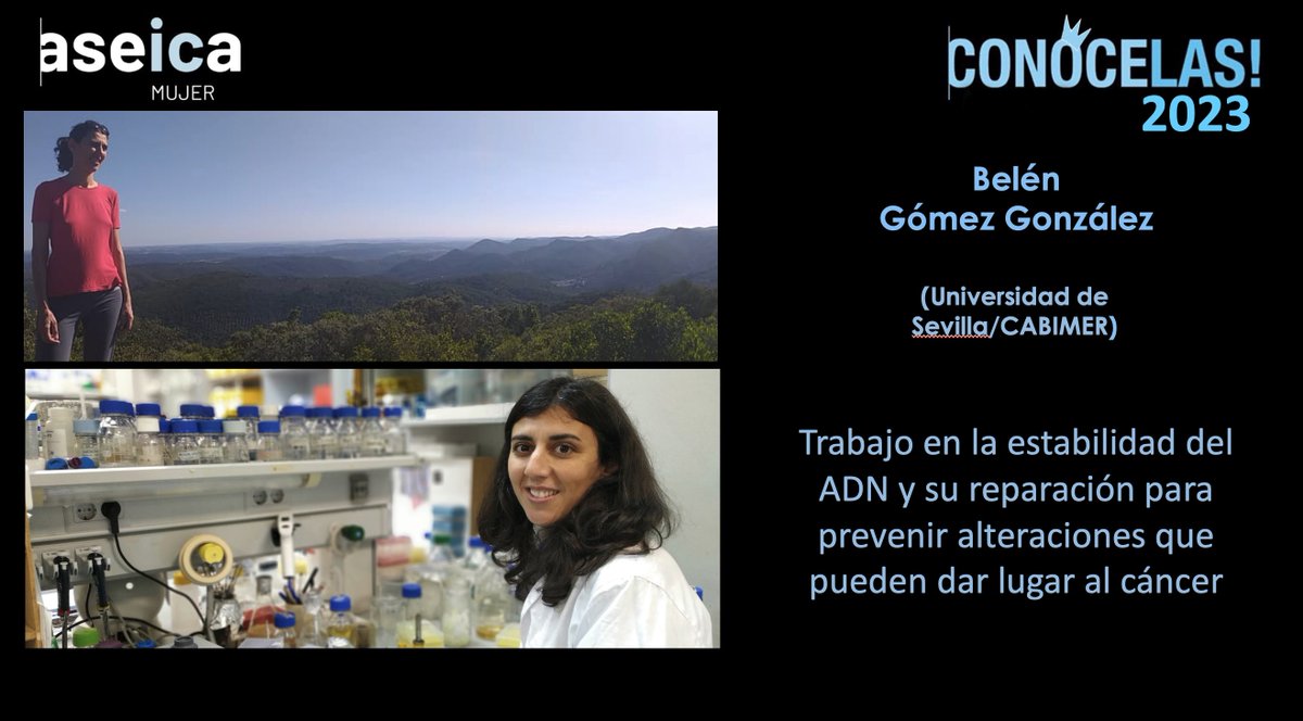 Genome Instability & Cancer Lab - SEVILLE tweet media