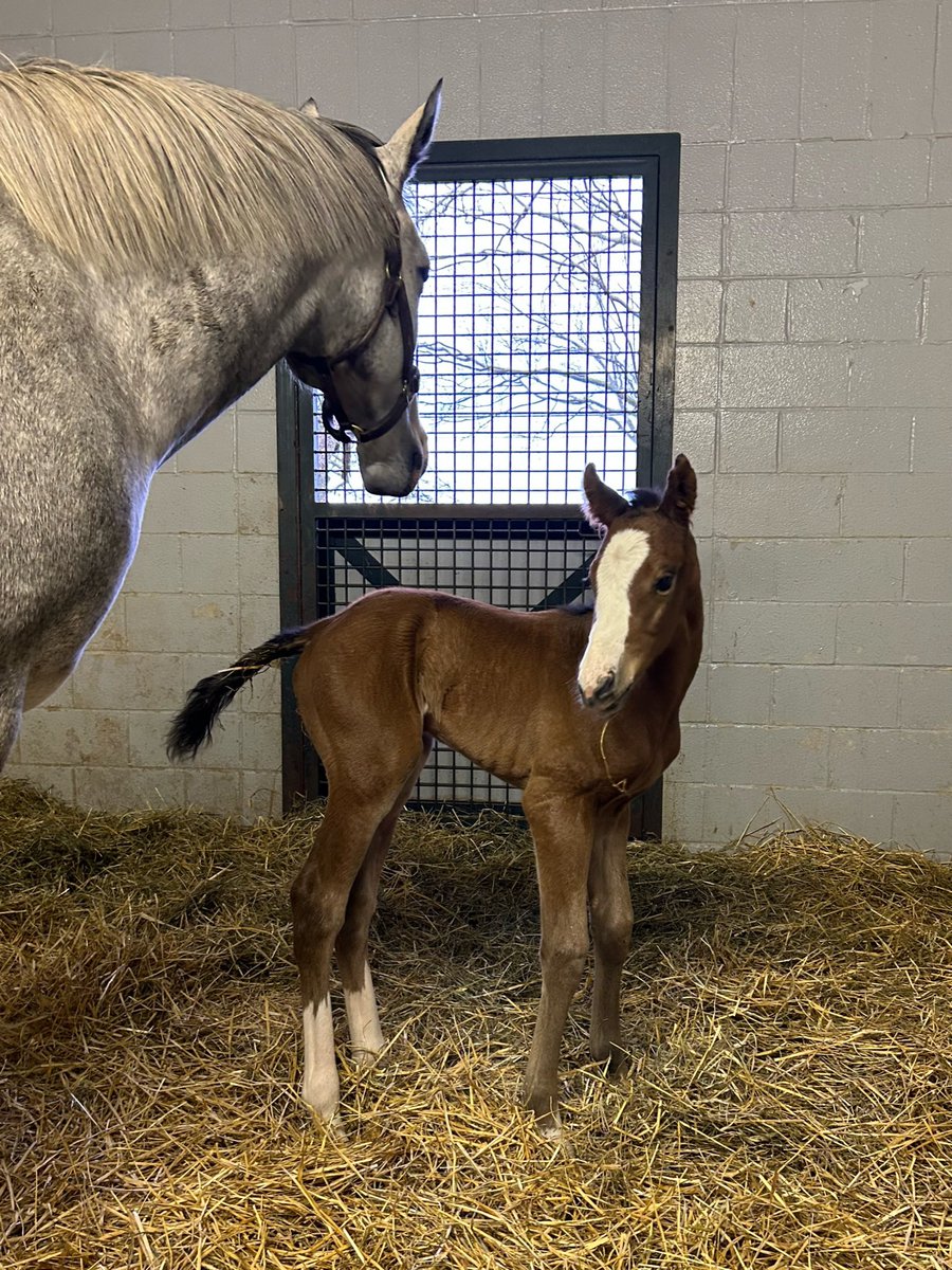 Jaime Roth on Twitter: