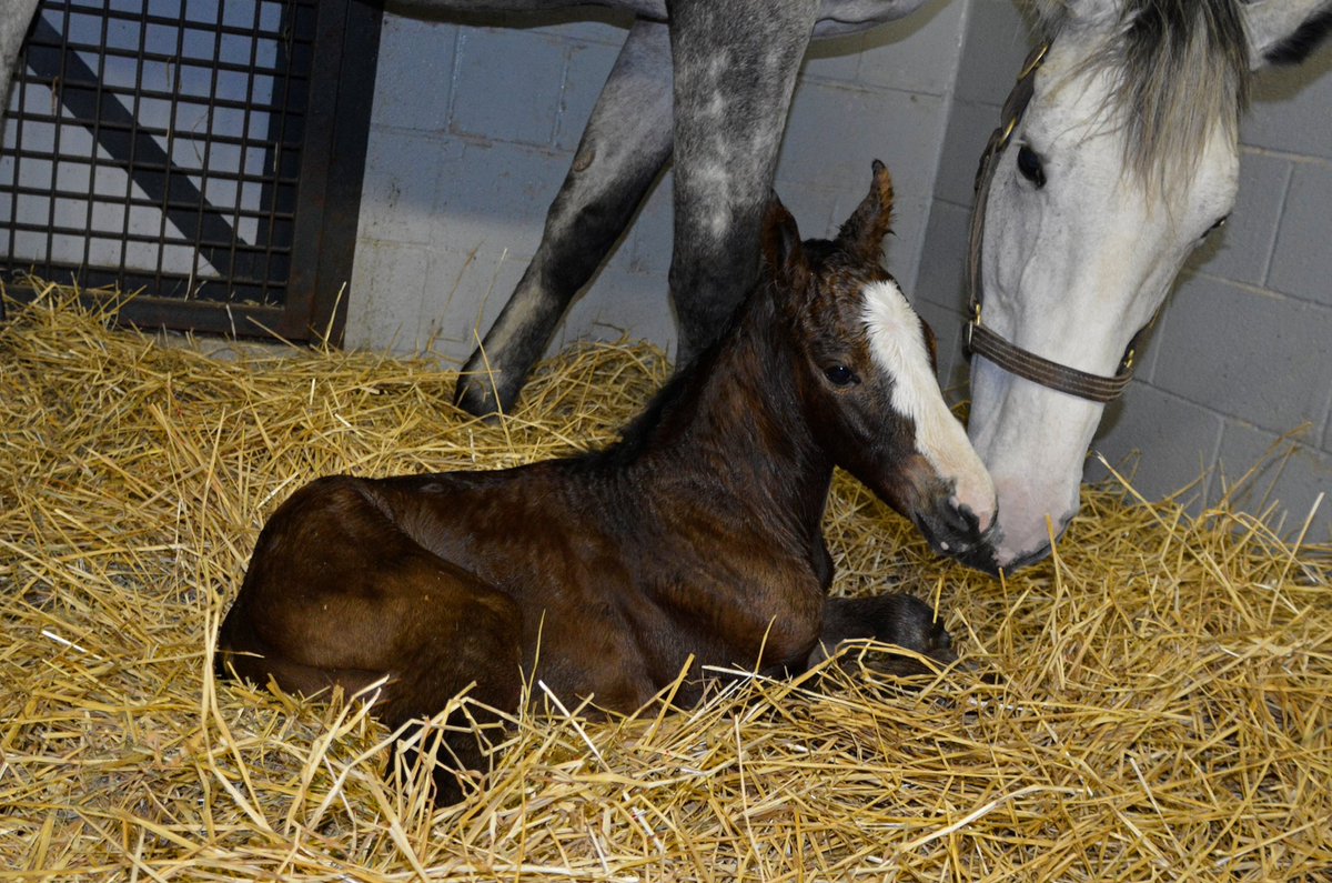 Jaime Roth on Twitter: