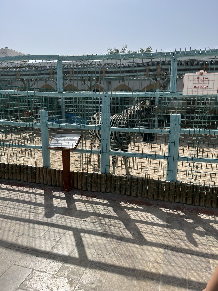 Rebecca O’Connor tweet media