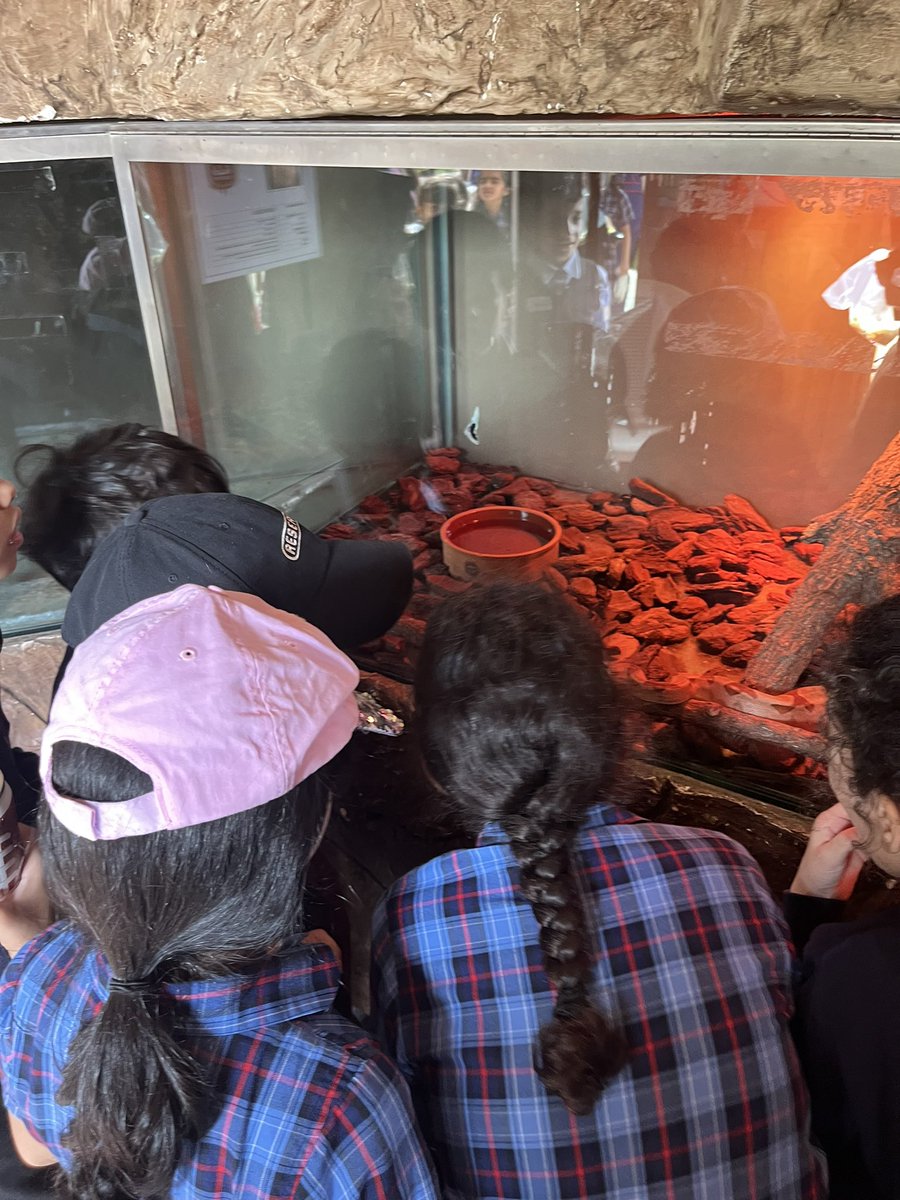 Rebecca O’Connor tweet media