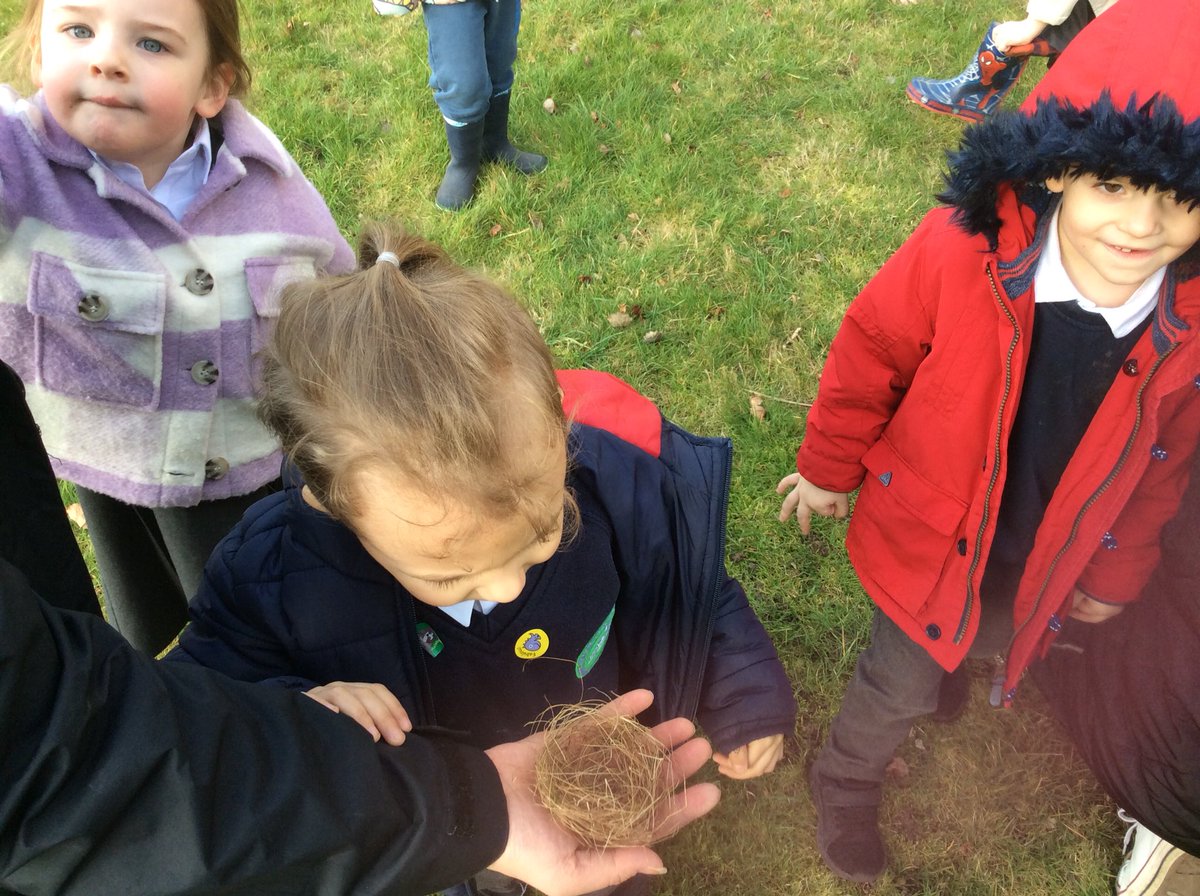 ASA_FS1's tweet photo. We have loved exploring our outdoor area this morning and this afternoon π±βΊοΈ #ASAOutdoorLearning https://t.co/1Beq5JUF2N