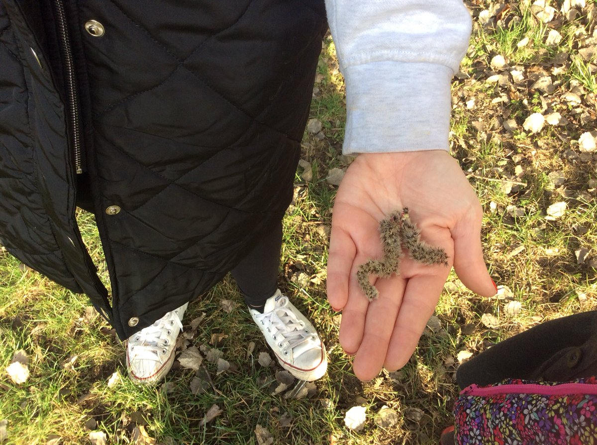 ASA_FS1's tweet photo. We have loved exploring our outdoor area this morning and this afternoon π±βΊοΈ #ASAOutdoorLearning https://t.co/1Beq5JUF2N