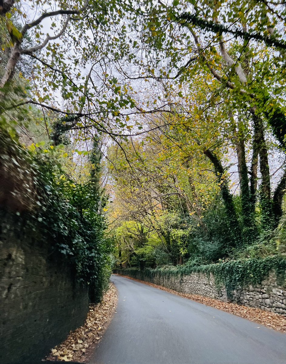 Had never seen such picturesque roads until I saw this! #roads #fallcolours #throwback #IrishDiaries #iPhone #phoneclicks
