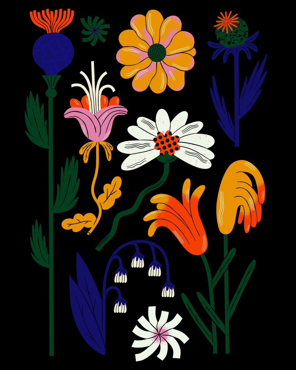 Exploring Flowers today 🌷🌹🌼🌺
#illustration #illustrationart #art #editorial