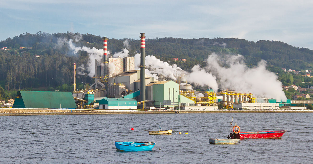 Unha pequena cronoloxía urxente:

🔴1957. O franquismo crea a Empresa Nacional de Celulosas (ENCE)
🔴1958. ENCE recibe unha concesión de 60 anos para ocupar a ría de Pontevedra, até 2018
🔴1988. O Estado privatiza parte de ENCE
🔴2001. Aznar remata a privatización de ENCE 👇