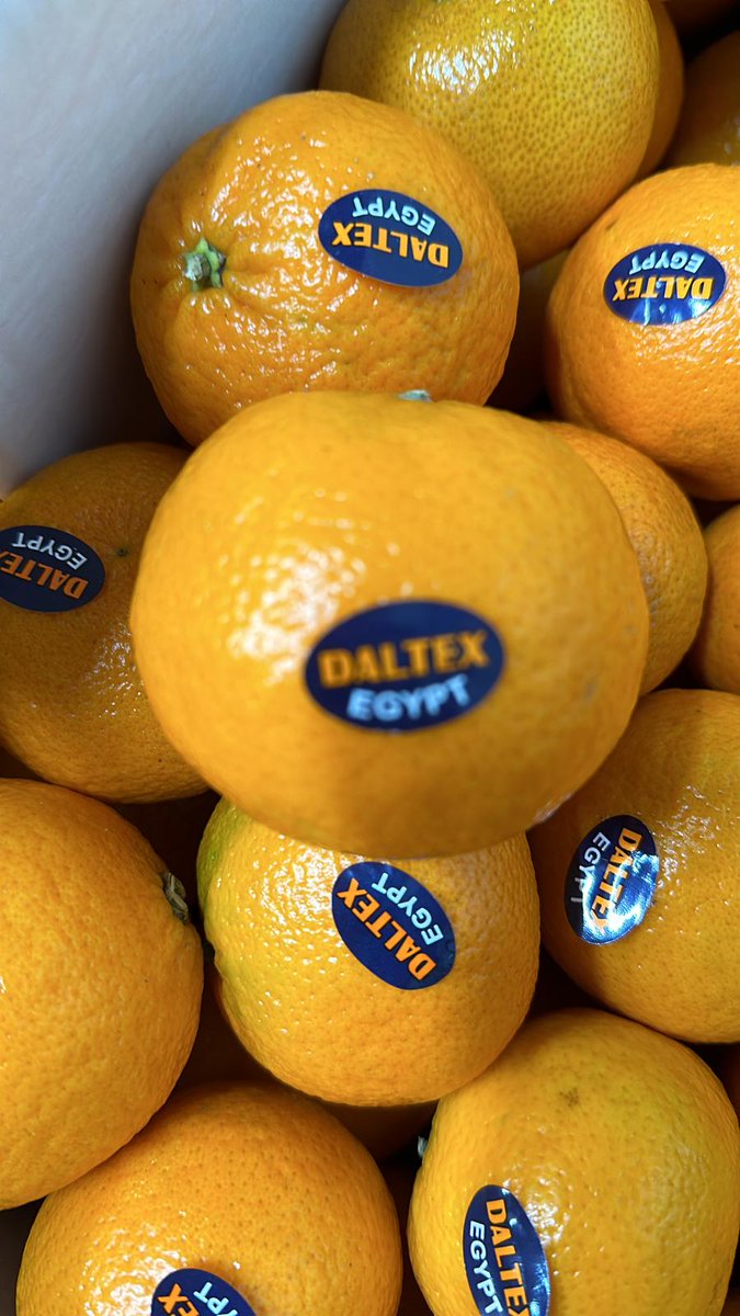NZinEgypt's tweet photo. Delighted to learn yousafandi are now available in New Zealand markets thanks to excellent 🇳🇿🇪🇬 trade cooperation! Egypt produces some of the most delicious citrus in the world😋🍊 @DinaSehy @MPI_NZ @CAPQ https://t.co/uZvPWWtWh0