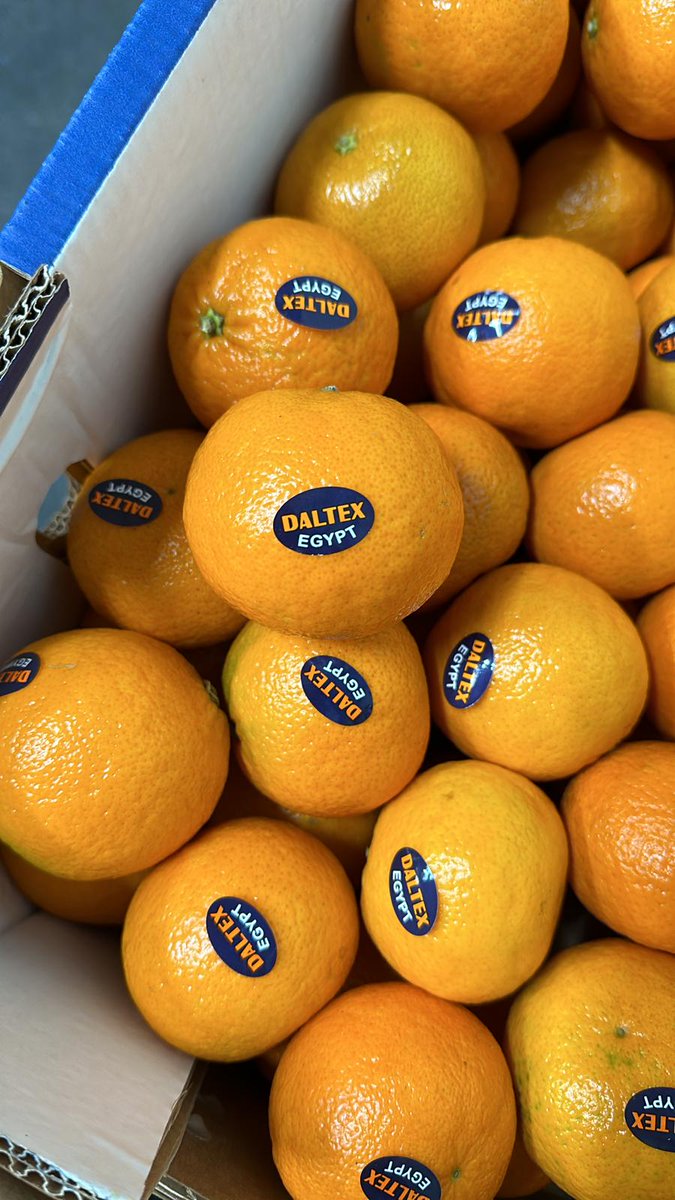 NZinEgypt's tweet photo. Delighted to learn yousafandi are now available in New Zealand markets thanks to excellent 🇳🇿🇪🇬 trade cooperation! Egypt produces some of the most delicious citrus in the world😋🍊 @DinaSehy @MPI_NZ @CAPQ https://t.co/uZvPWWtWh0