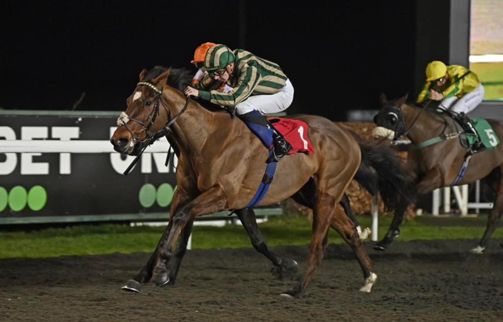 Aced It heads to Kempton this evening for the class 2 conditions race, Jack Mitchell rides. 
Big step up in class but he’s in form and loves Kempton so we take our place to see if he can be involved with the big boys. 
good luck to all connections.
