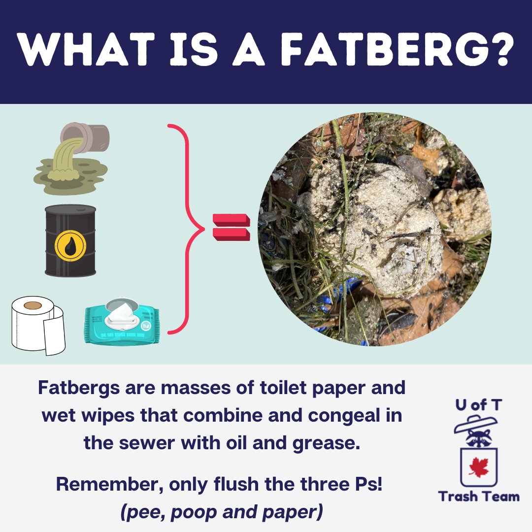 We've heard about them before but last summer we got to see a #fatberg up close and personal! Among our #Seabin top 10 items, these rock-like masses form in the sewer when items that shouldn't be flushed end up combining with oil and grease. Yuck! Remember, only flush the 3 Ps.