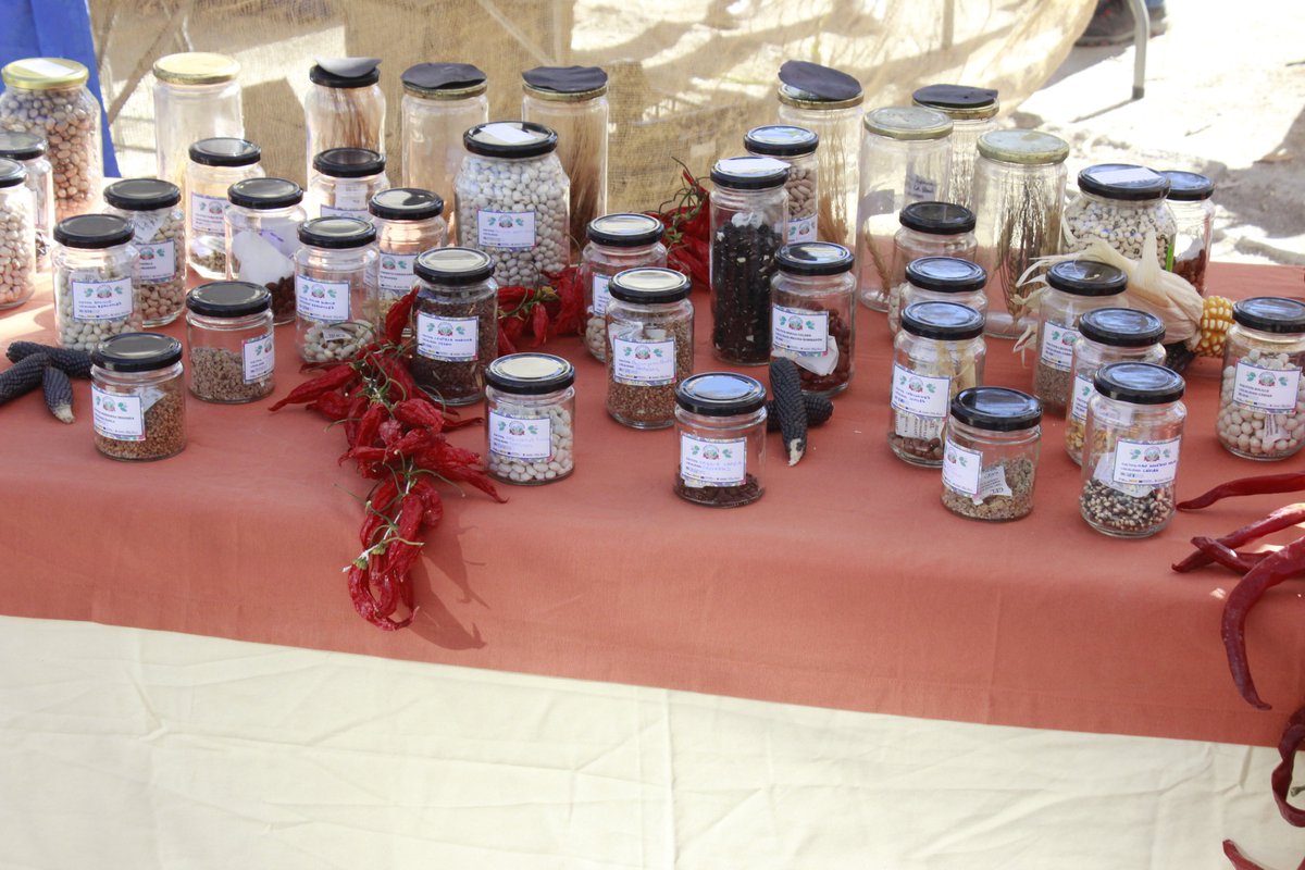 Algunas fotos del pasado <a href="/ecomercadogr/">Ecomercados Granada</a>. Gracias como siempre a la RAG por tratarnos con todo el amor, a Alonsi Navarro por su generosa donación de trigos, y a todas las personas que pasásteis por el puesto.

¡¡¡Gracias y buena siembra!!!

#SmartEcomountains #Agroecología