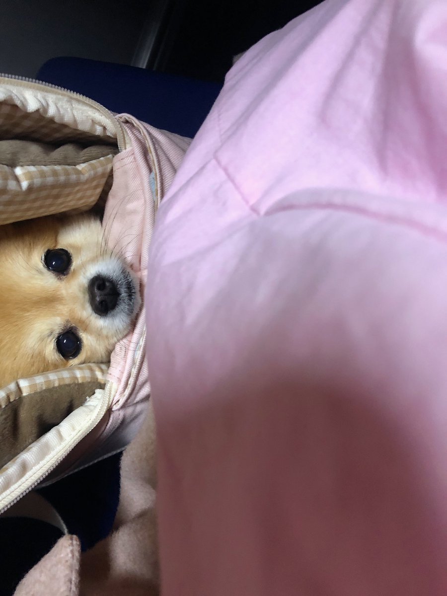 쿠니와 함께 퇴근을