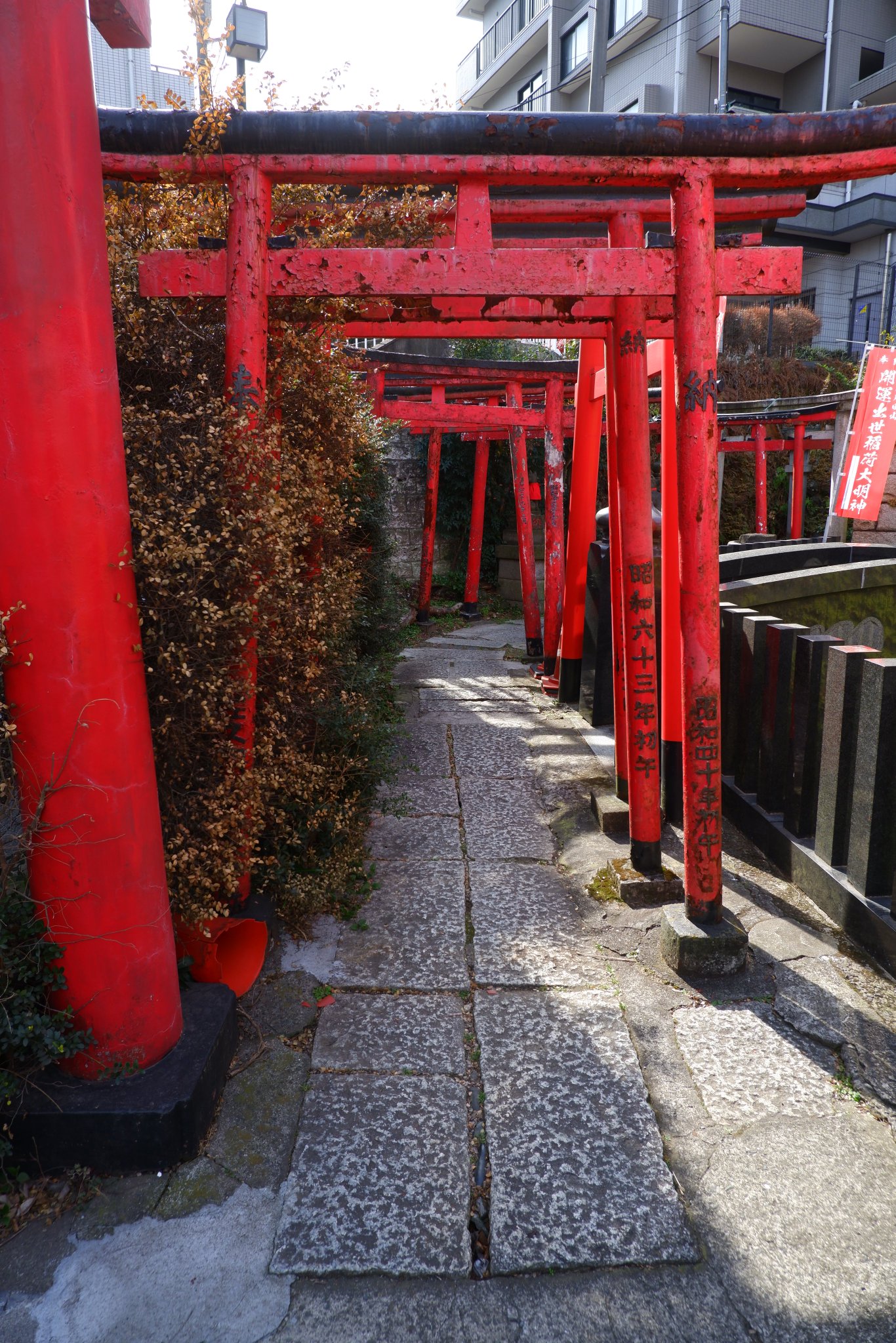 nobu-ta-on-twitter-fujifilm-x-t100-fujinon-xc-15-45mm-f3