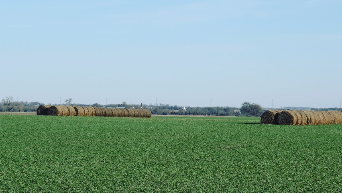 TownsUsa's tweet image. Bronx, New York
Bronx County 
Population: 1,418,207