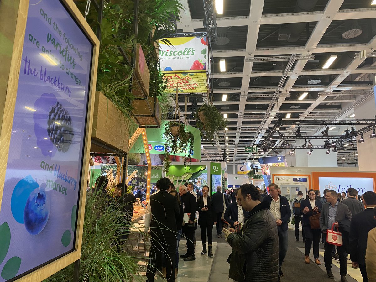 It’s not even noon and i’ve had some great conversations and delicious fruit!  #fruitlogistica2023