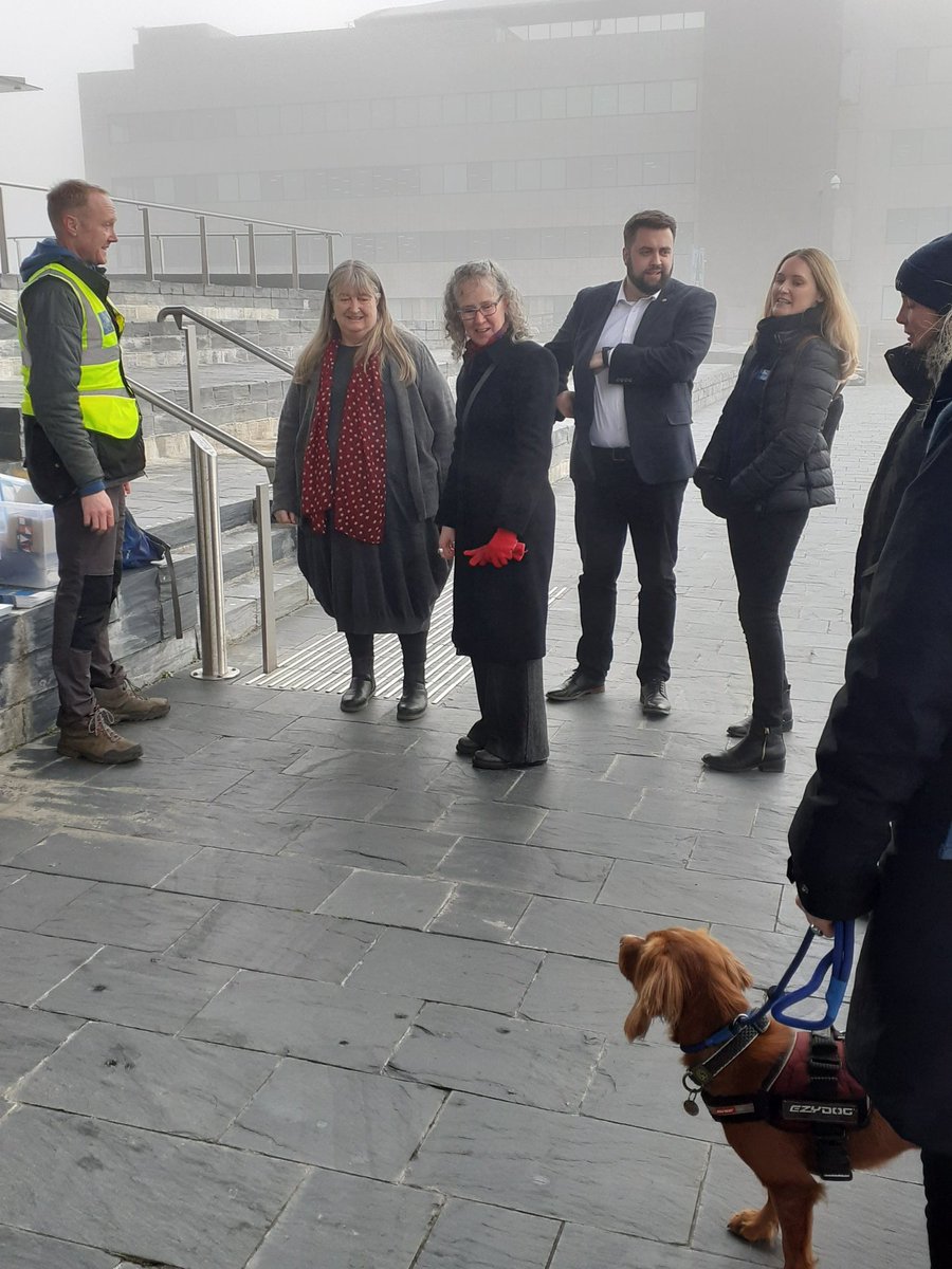 Jinx, our wonderful #biosecurity dog, arrives at @SeneddCymru this morning to show our elected members the importance of biosecurity work in order to protect our seabirds 💚🐾🌊