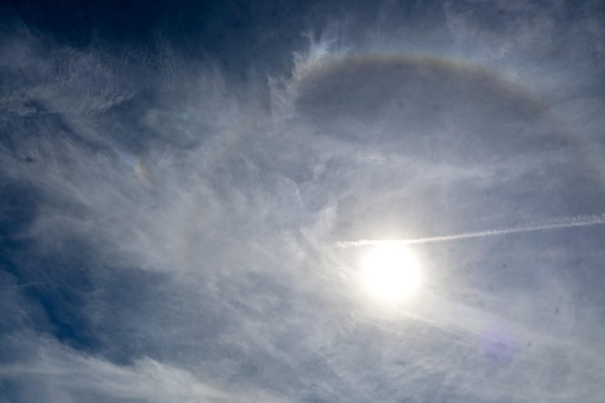 BarryMikhal's tweet photo. ouroboros? see the head of the dragon? https://t.co/X04Fg7aWDX