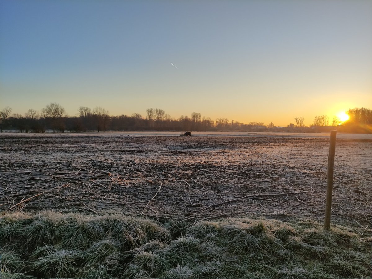 Happy Birthday, Cleo!
2 years old 🥳🍀🐾
Keep seeing the world as your personal playground. 🥰