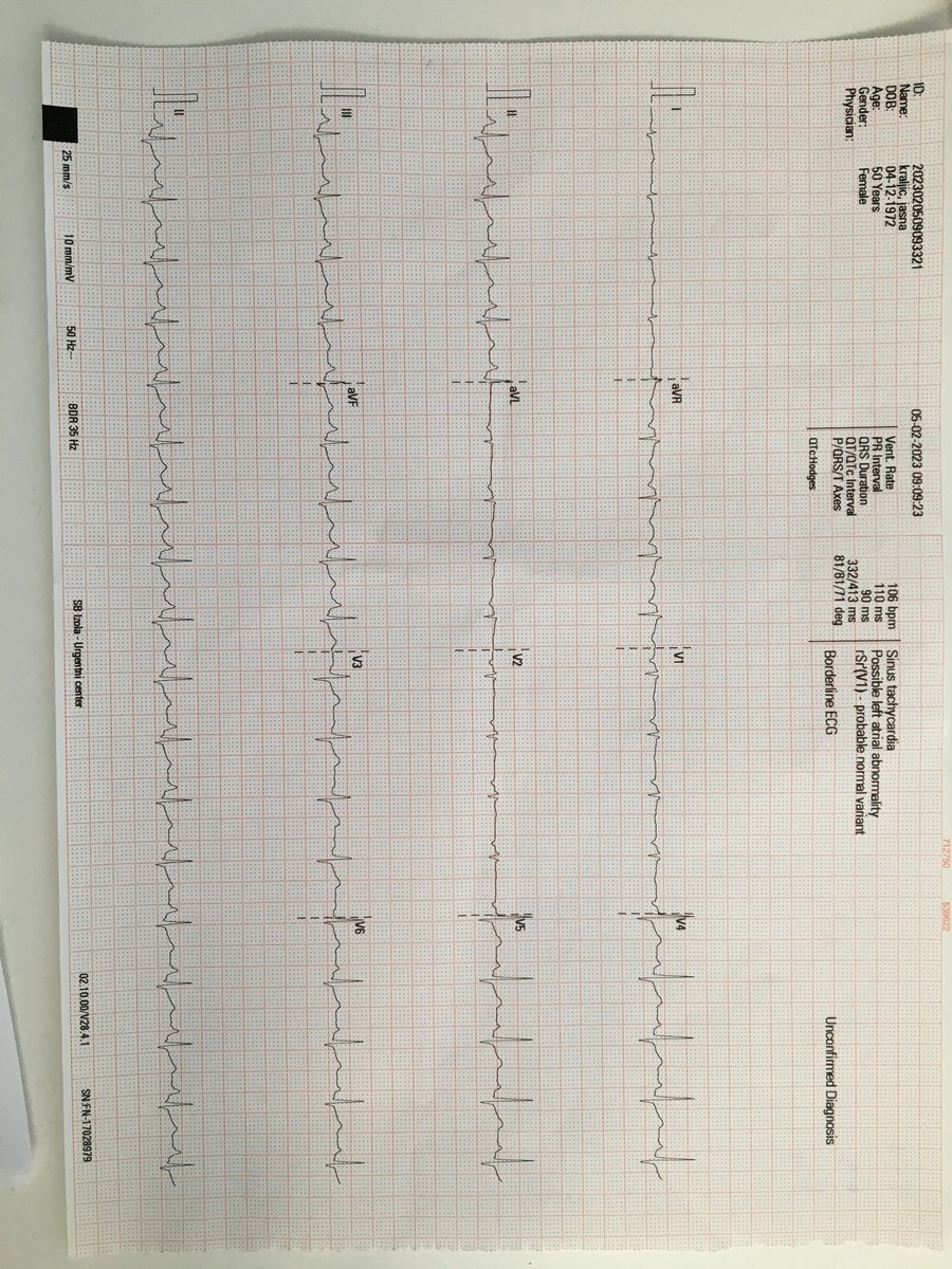 Royal Cats & Dogs (@royalcatsdogs) on Twitter photo 