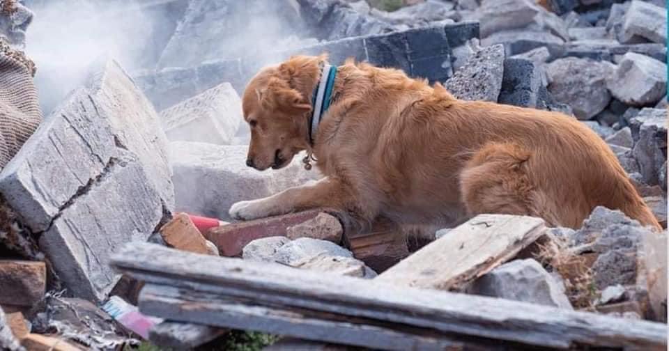 Rai_Musadiq's tweet photo. Thousand words in pictures…
 #turkeyearthquake2023
#TurkeySyriaEarthquake #Turkey https://t.co/v5EUzNKsnt