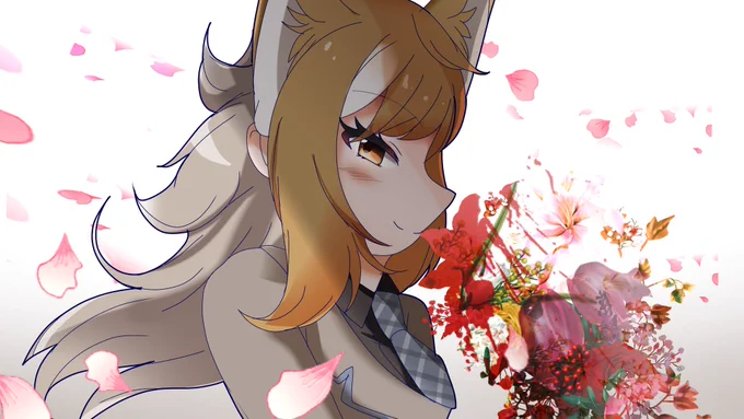 新シリーズの編集してます#けものフレンズ 