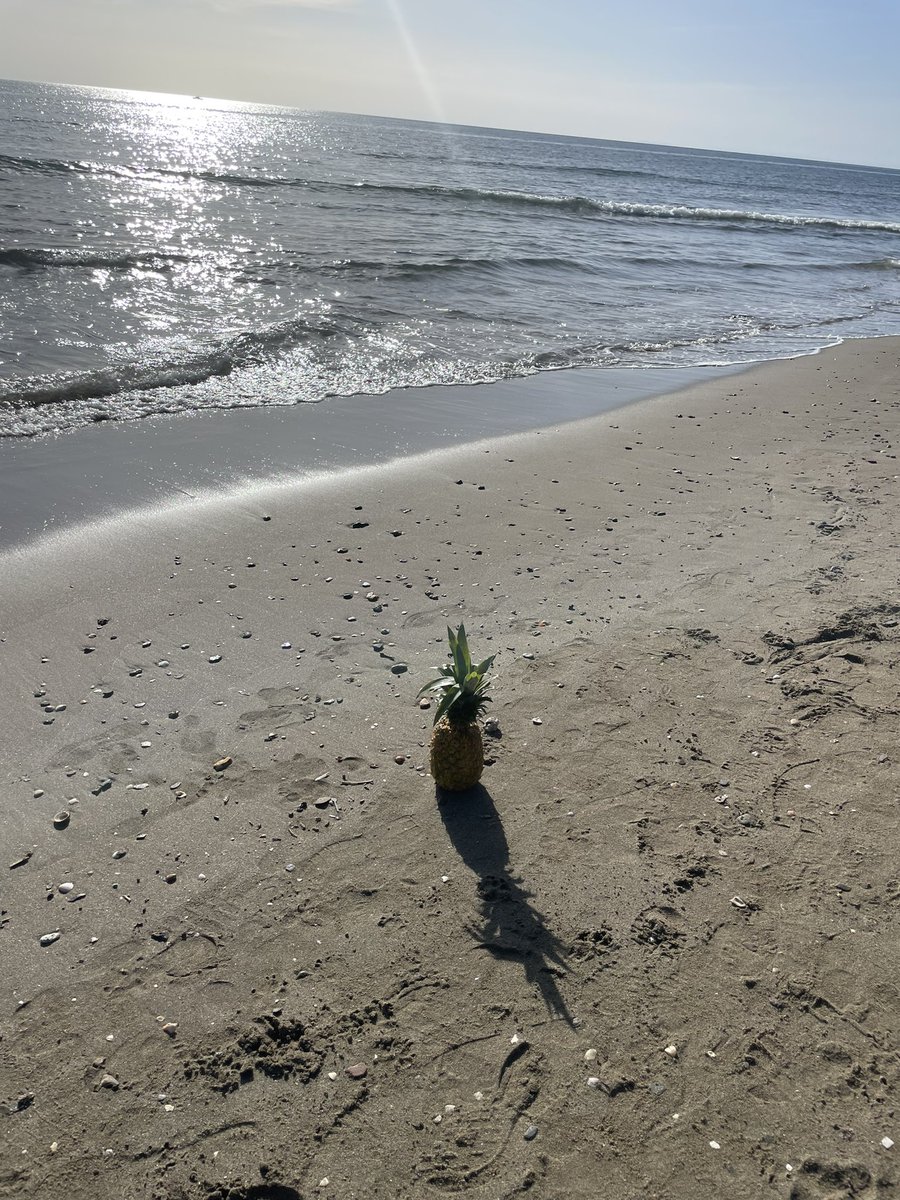 glitteryloulou's tweet image. This was just sat there on the beach back in December! Just realised what it means 😳 #pinapple