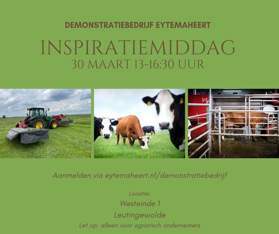 Eytemaheert tweet media