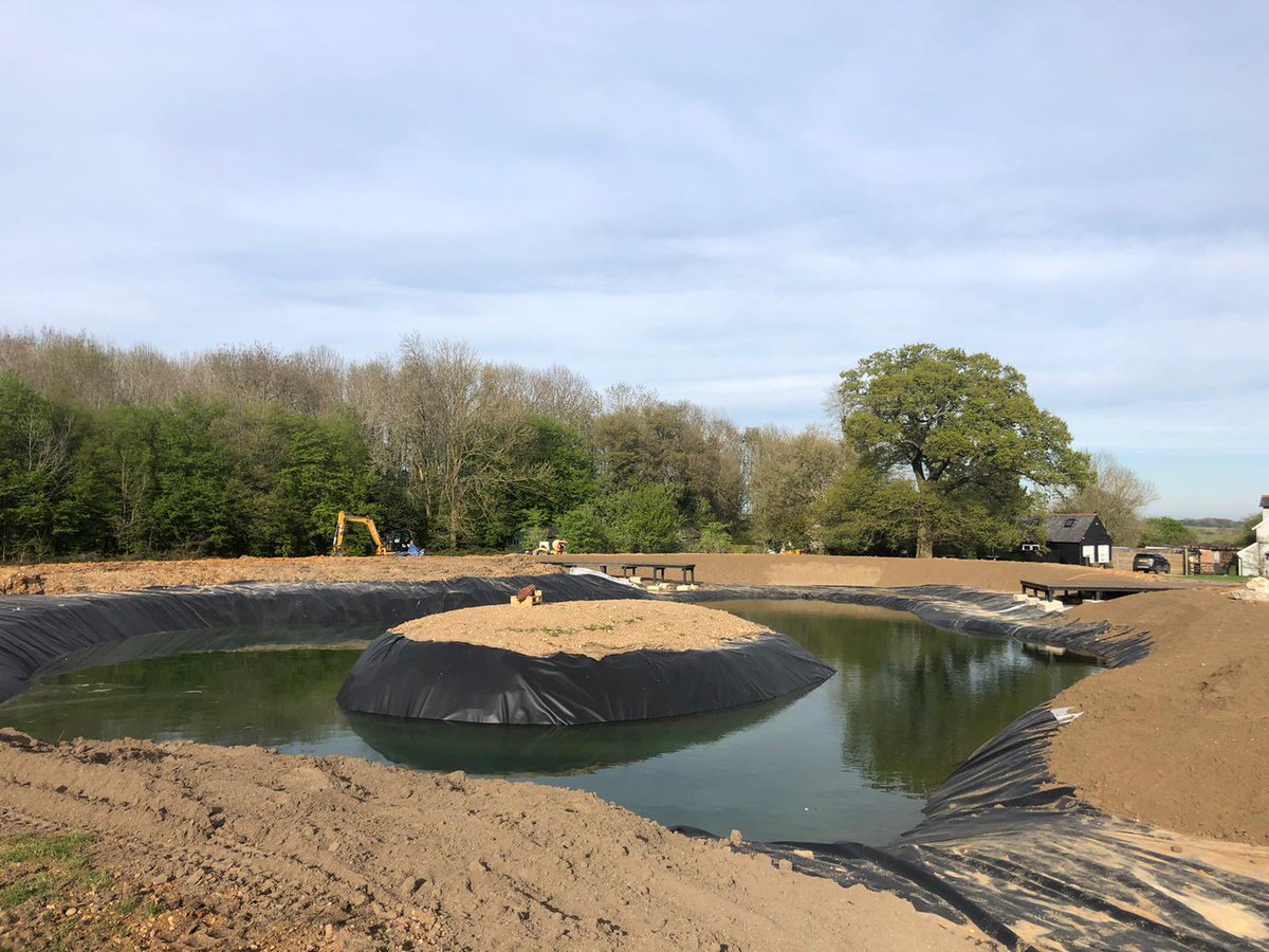 Jamie820566111's tweet photo. 1 year progress on nature pond in my Harpenden garden, excited for the summer π #pondproject @BDSdragonflies @BBCSpringwatch @HMWTBadger https://t.co/UCaHCzK4tq