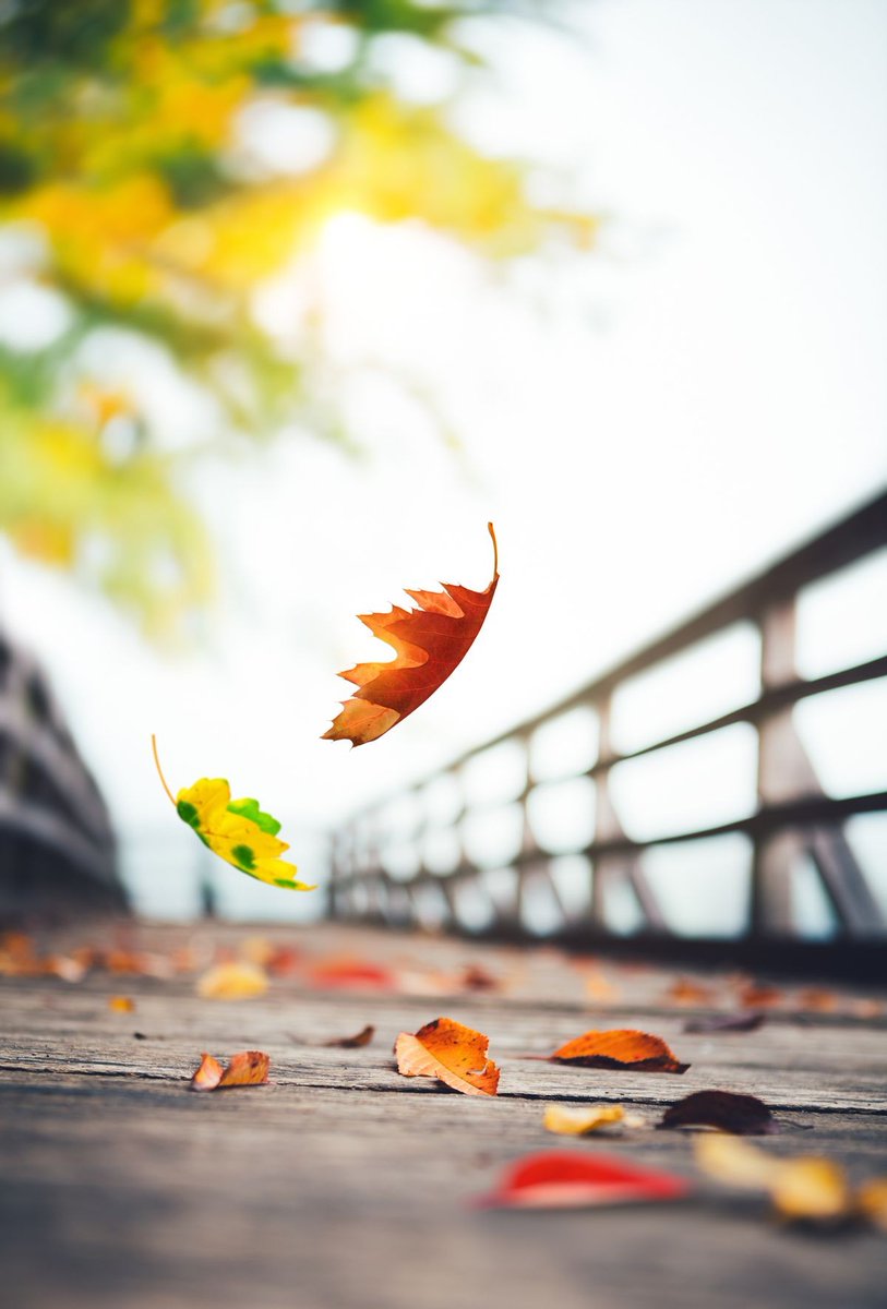 1011Jigar's tweet image. આજે હું મારી મળેલી જિંદગી ને પ્રપોઝ કરીશ, બસ આમજ તું મને જિંદગી જીવતા શીખવાડતા રહજે મળેલી ઠોકરો માંથી.....
     🙏🏻🙏🏻🙏🏻🙏🏻🙏🏻🙏🏻

#Prapose_Day #HappyProposeDay #Propose_day #Propose