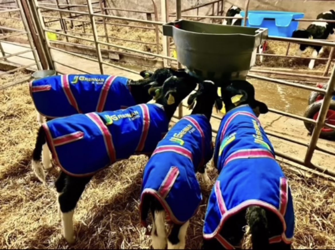 jgrennan_s's tweet photo. A nice competition to get our twitter page up and running! Follow our page, share the post and tag two friends to be in with the chance of winning 5 of our JGrennan Calf Jackets! https://t.co/Dx8glRilkO