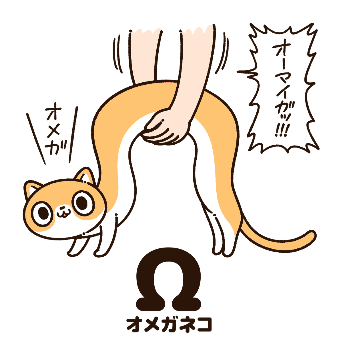 オメガネコ 