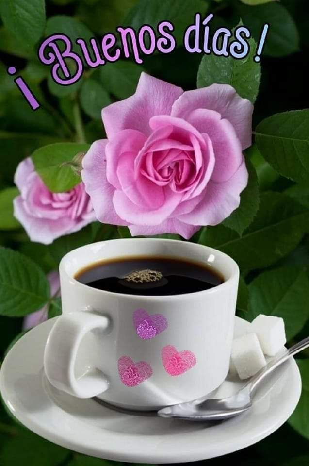 Good morning 🌄🌅 people