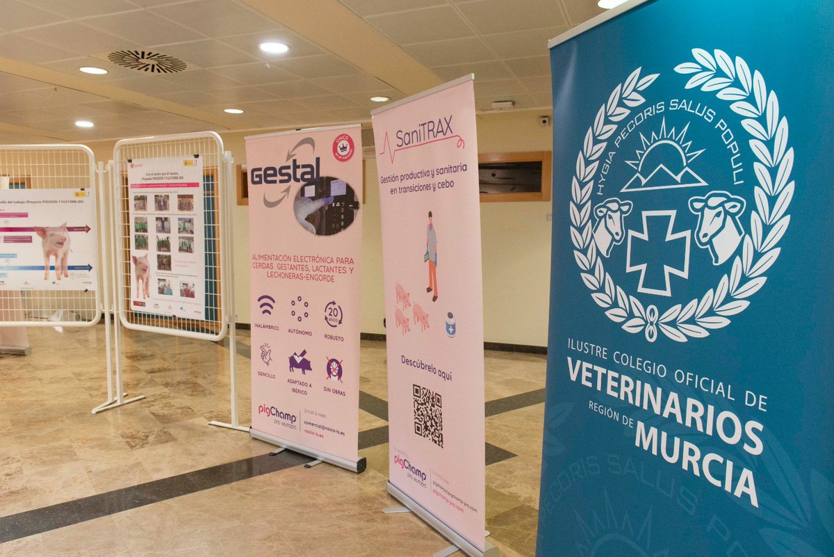 JoseLujanAlcarz's tweet photo. @UABBarcelona, @PigCHAMP_Europa #Cefusa #AcuvetBiotech, @colvetmur, #ACVRM, @fac_mur, @UMU, @research_um, @UMUdivulga https://t.co/LHXIOUmIrH