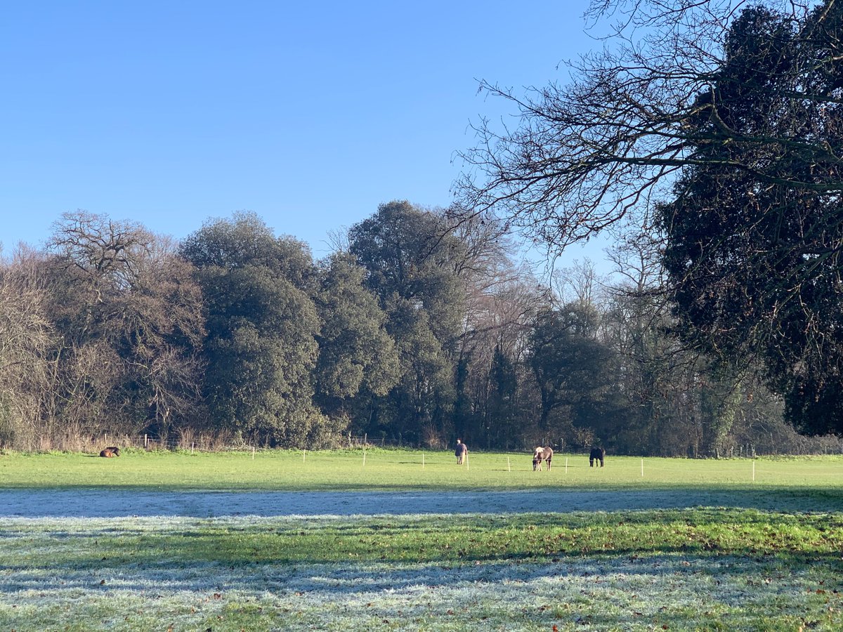 Quex Park tweet media