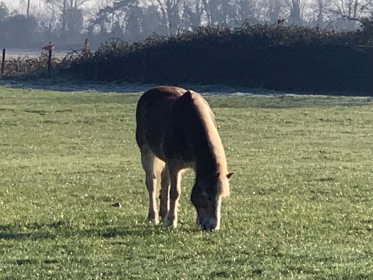 Quex Park tweet media