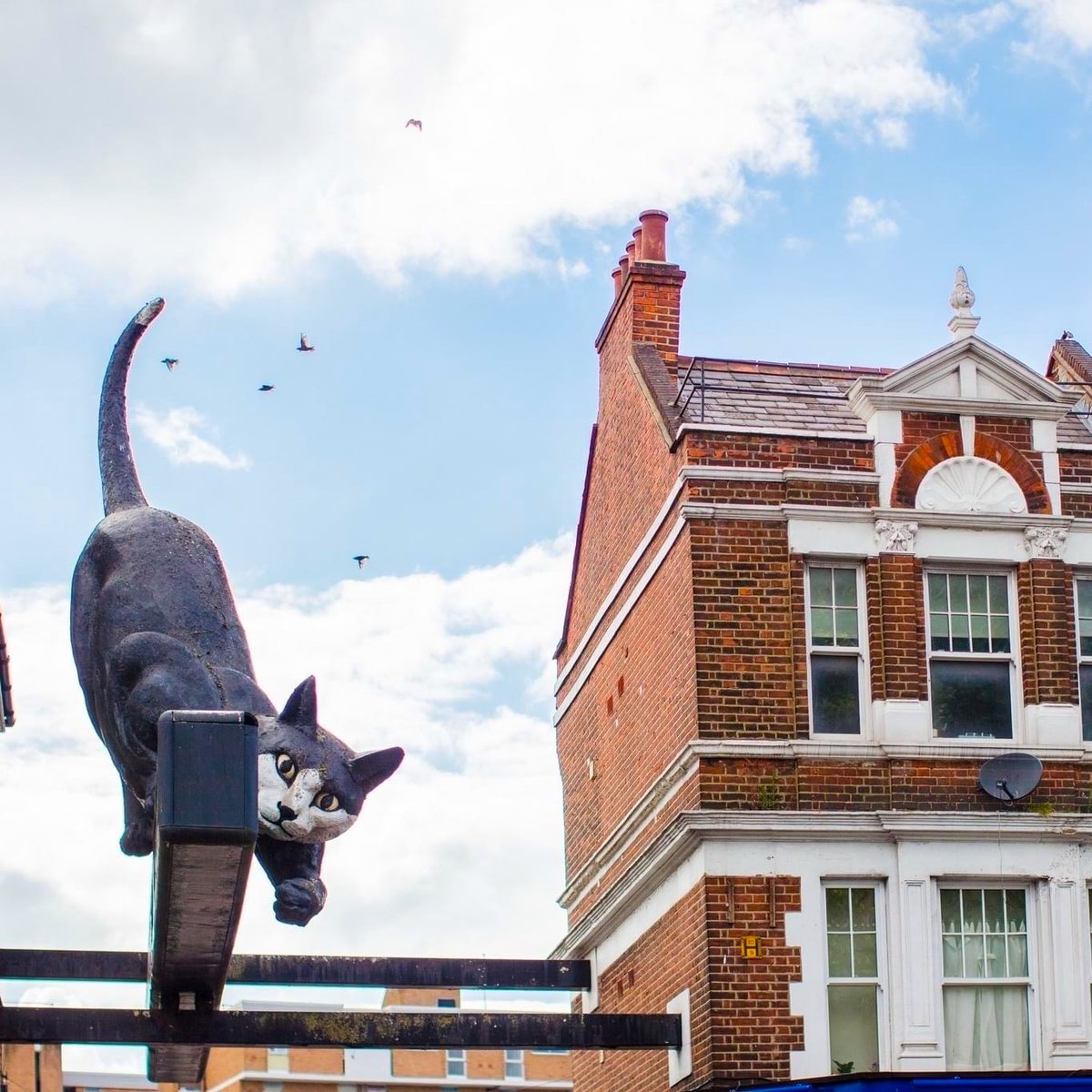 HouseofCatford tweet media