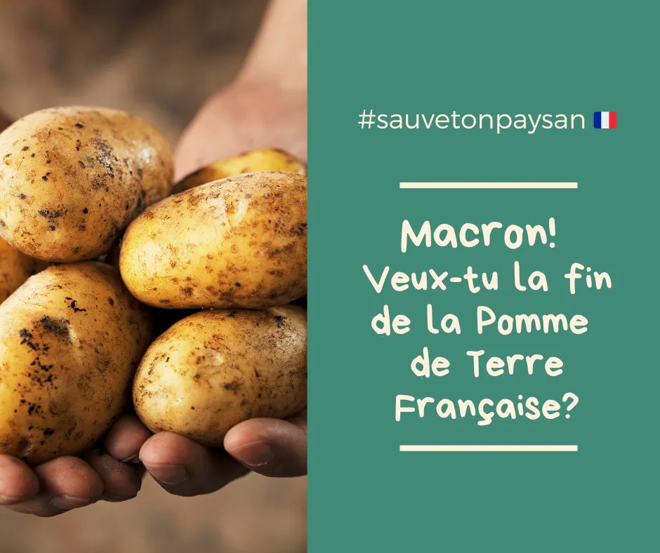 benj_thi's tweet photo. La filière #dudul la fécule est en voie de disparition, alors que c'est une filière d'excellence, permettant de produire des bioplastique à base d'amidon, du stopfeu pour les incendies, bien plus efficace que le retardant à base de phosphate ...
@MFesneau @ChLambert_FNSEA @Tereos https://t.co/n6y4mNAv9c