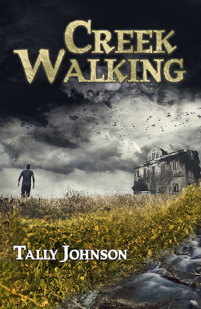 Now in Audiobook! Faulkner meets Foxworthy in this Southern Gothic tour de force from award-winning author & storyteller Tally Johnson - Get Creek Walking today! -johnhartness.com/booklink/112236