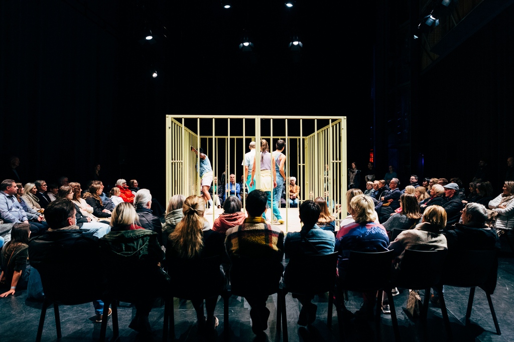 Op dit moment zijn The100Hands druk bezig met het monteren van 𝐎𝐮𝐭 𝐨𝐟 𝐭𝐡𝐞 𝐁𝐨𝐱 𝟐.𝟎, die ze op 16 februari in Bloos presenteren. 

Deze fysieke en acrobatische voorstelling vindt plaats in een levensgrote box waar je van alle kanten in kijkt

👉🏻 podiumbloos.nl